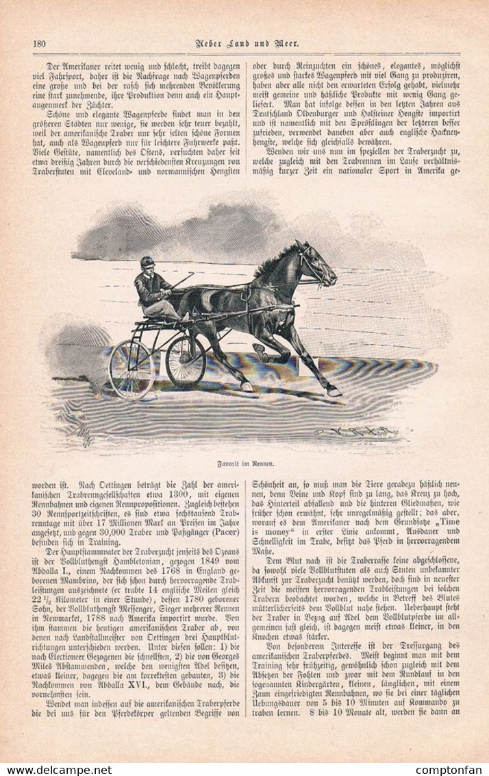 A102 1268 Engelnstedt Traber Amerika Traberzucht Artikel / Bilder 1896 !! - Autres & Non Classés