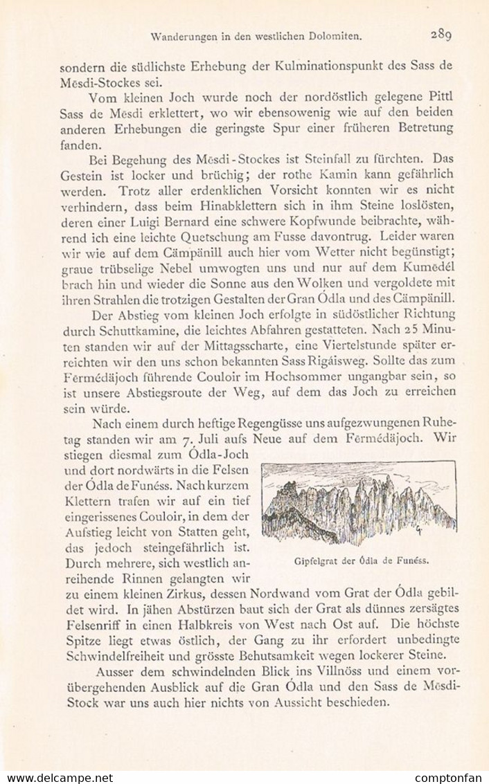 A102 1277 Ludwig Darmstädter Dolomiten Rosengarten Artikel / Bilder 1889 !! - Autres & Non Classés