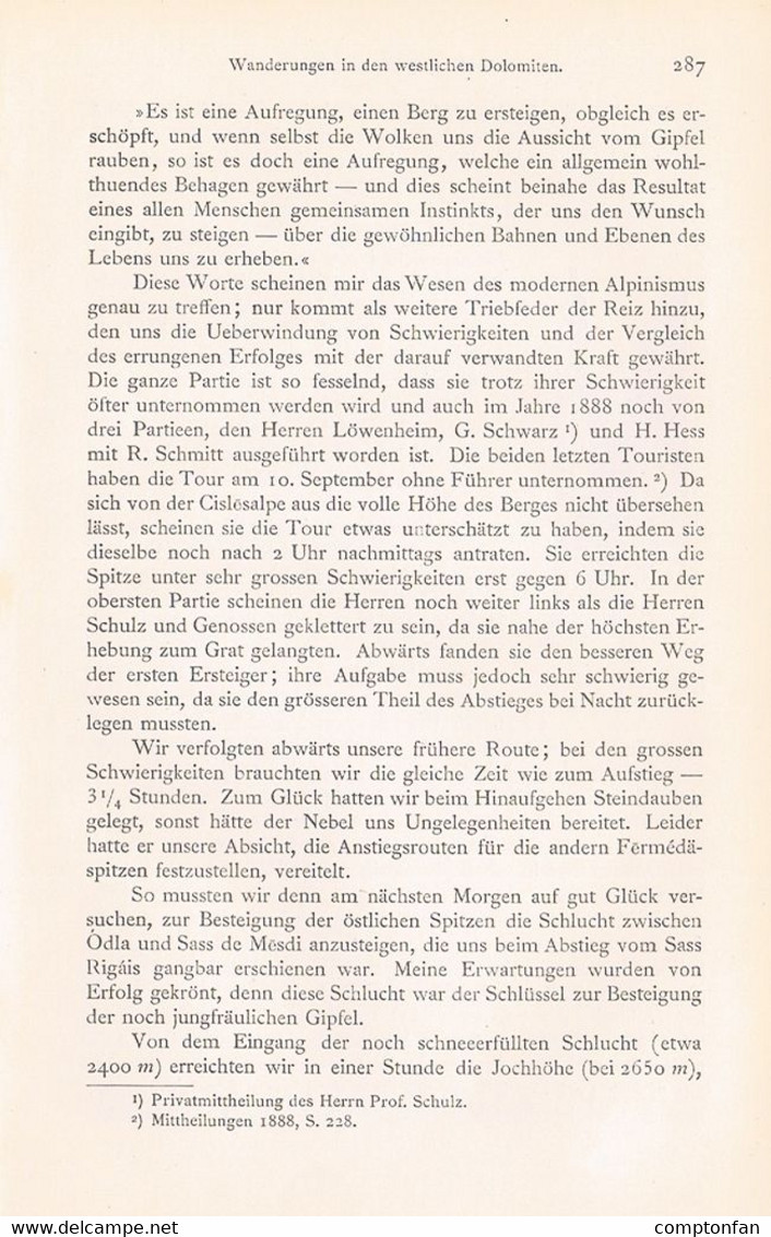 A102 1277 Ludwig Darmstädter Dolomiten Rosengarten Artikel / Bilder 1889 !! - Autres & Non Classés