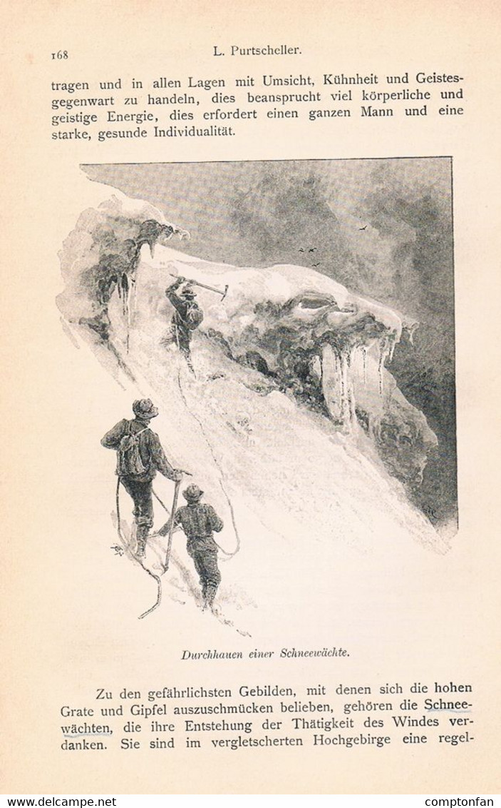 a102 1278 Purtscheller Entwicklung Alpinismus alpine Technik Artikel / Bilder 1894 !!