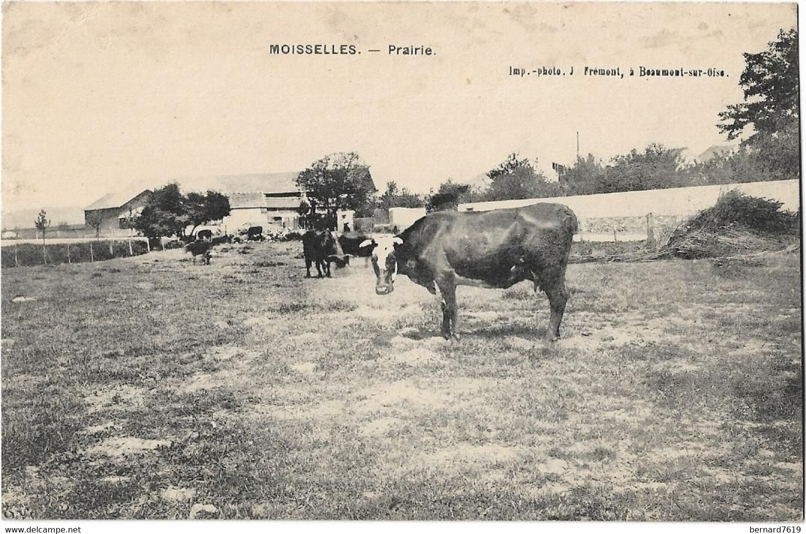 95  Moisselles  - Prairie - Moisselles