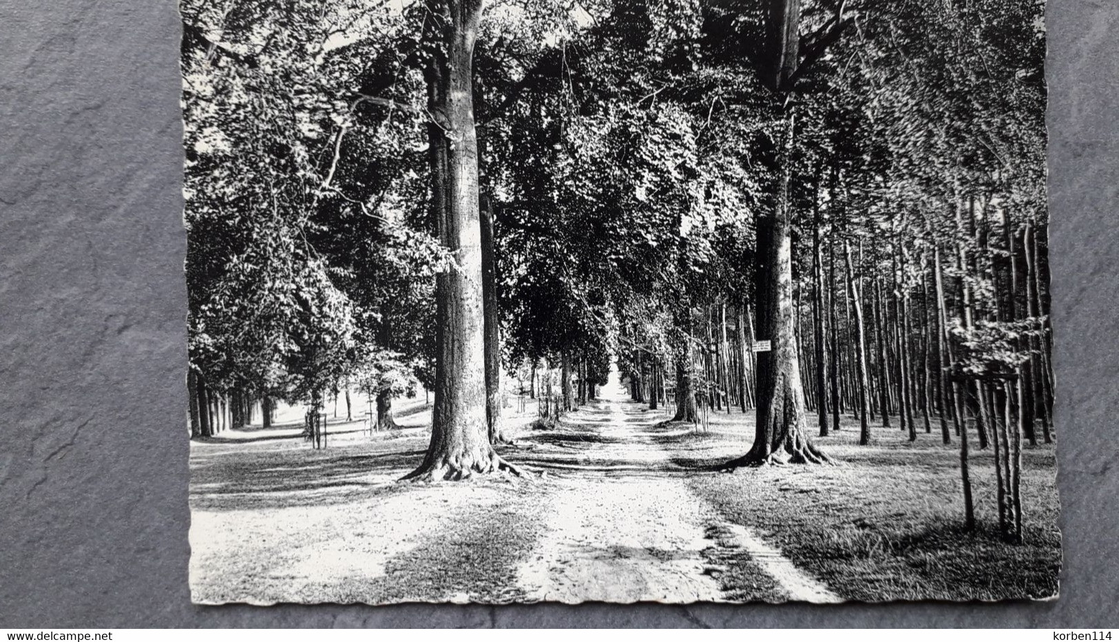 AVERBODE WEG NAAR DE KRONINGSKAPEL - Scherpenheuvel-Zichem