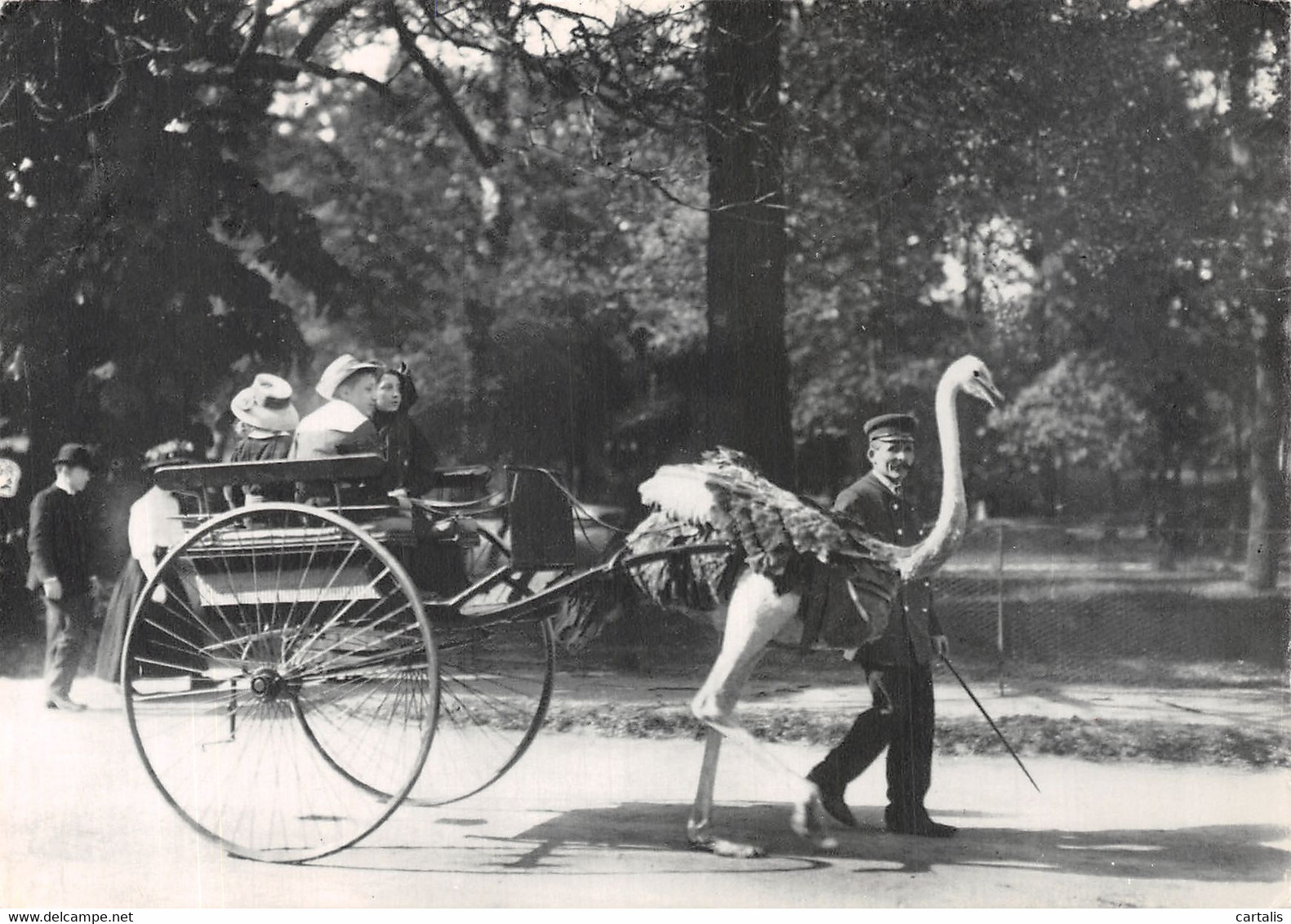 75-PARIS JARDIN DES PLANTES-N°4277-D/0075 - Otros & Sin Clasificación