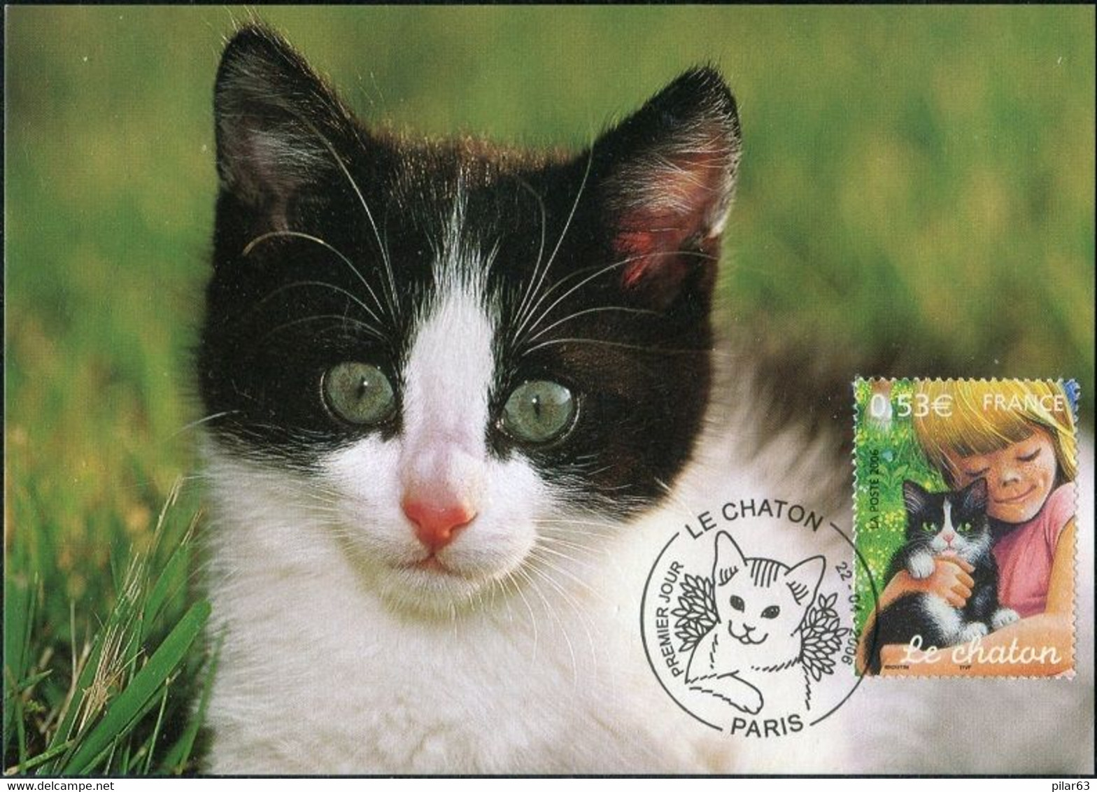 FRANCE 2006 - C.M. LE CHATON Sur Carte "MGE" + T.P. 0,53€ + Obl. P.J. 22.04.2006 PARIS (voir Images) - 2000-2009