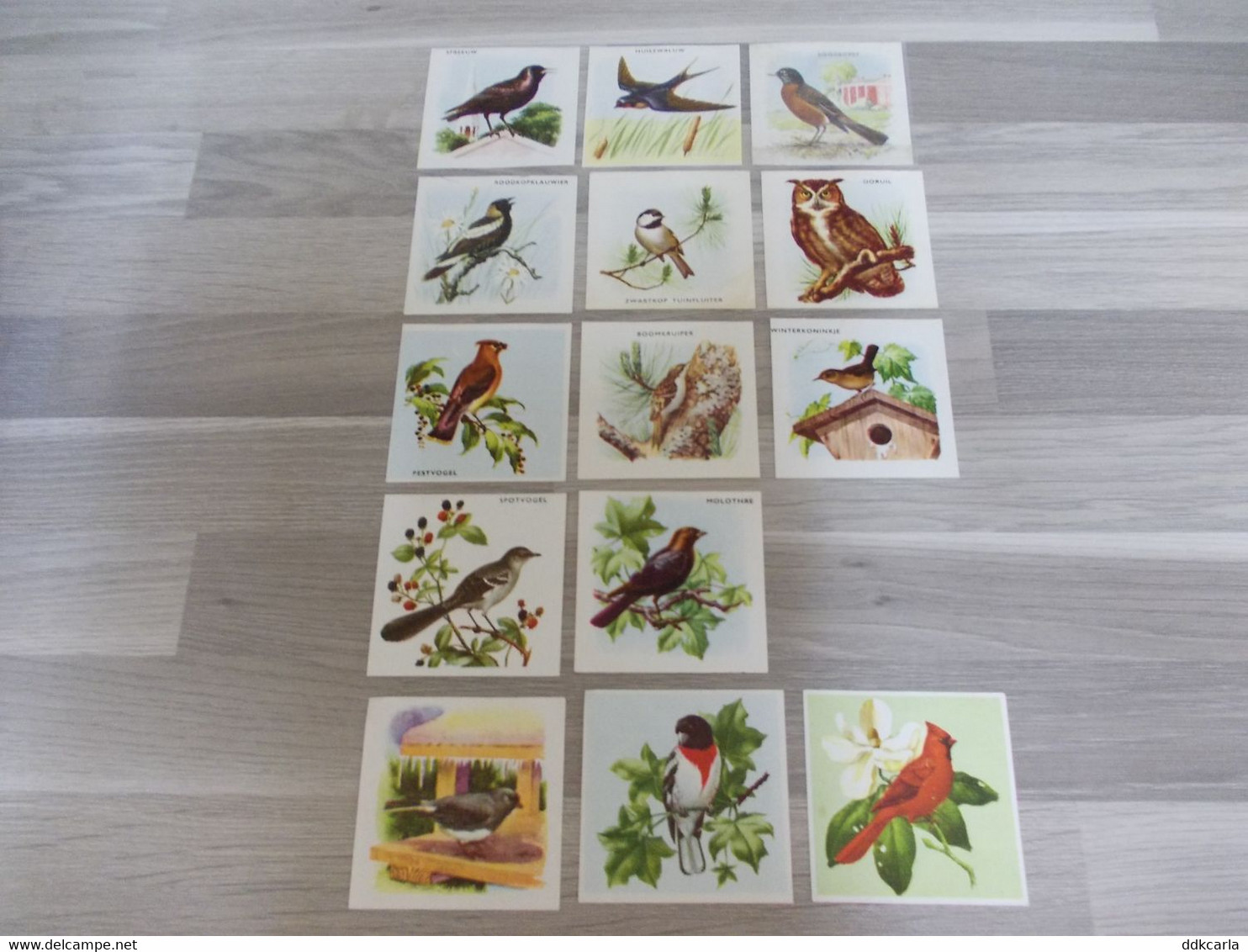 Lot Van 14 Verschillende Chromo"s Van FORT Uit Het Album VOGELS - Chromo's Fortprodukten - Animaux