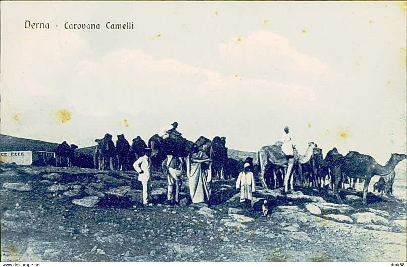 LIBIA / LIBYA - Darnah / DERNA  - CAROVANA CAMMELLI  / CARAVAN CAMELS  - EDIZ. F.LLI JONA - 1920s (11337) - Libye