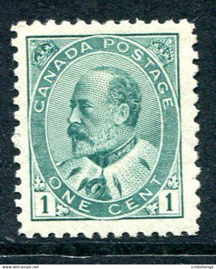Canada 1903 King Edward VII - 1c Pale Green HM (SG 173) - Unused Stamps