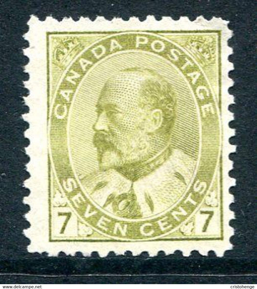 Canada 1903 King Edward VII - 7c Greenish-bistre MNG (SG 181) - Nuovi