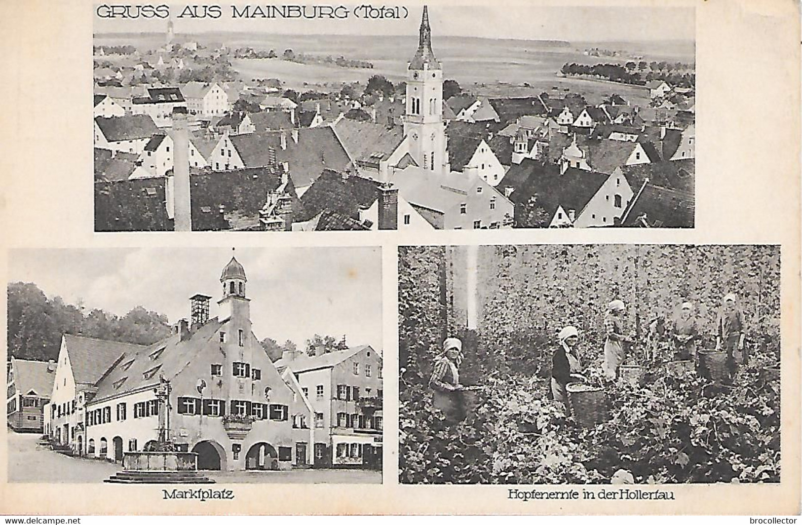 MAINBURG ( Allemagne ) - Gruss Aus Mainburg - Mainburg