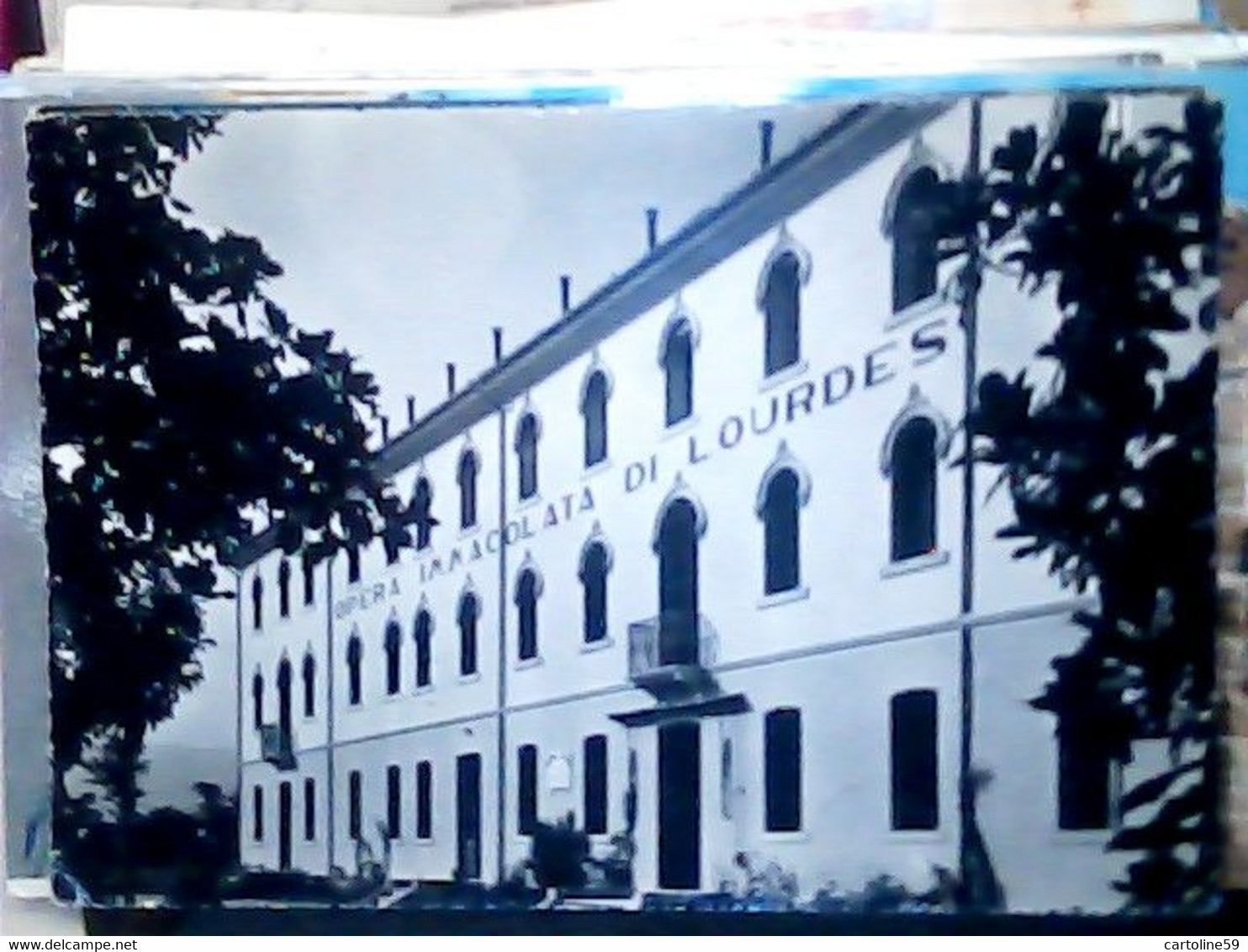 TREVISIO CONEGLIANO OPERA IMMACOLATA DI LOURDES  VB1957 IU381 - Treviso