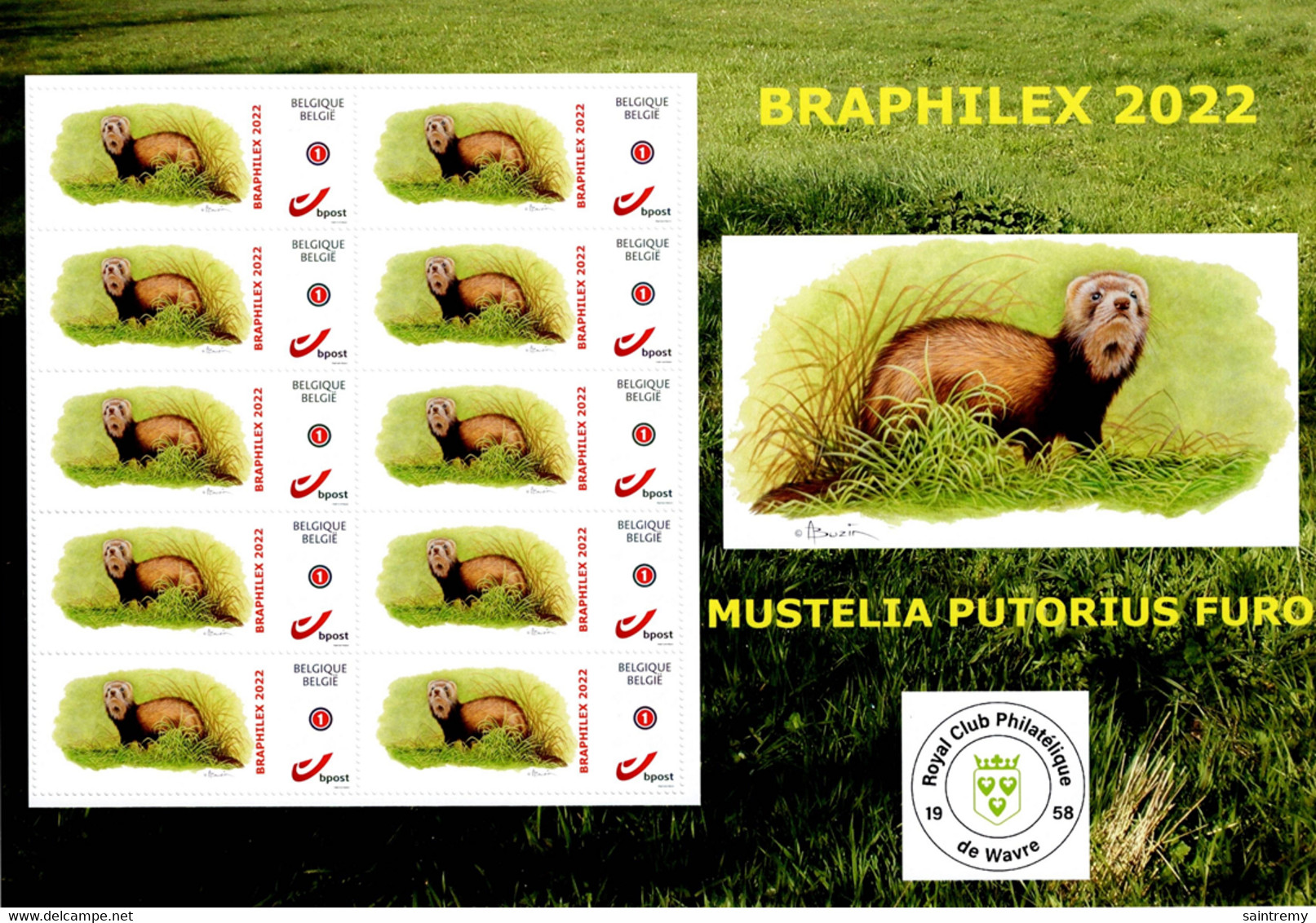 Duostamp** / Mystamp** BUZIN - Furet Feuille De 10 - BRAPHILEX - WAVRE - Andere & Zonder Classificatie