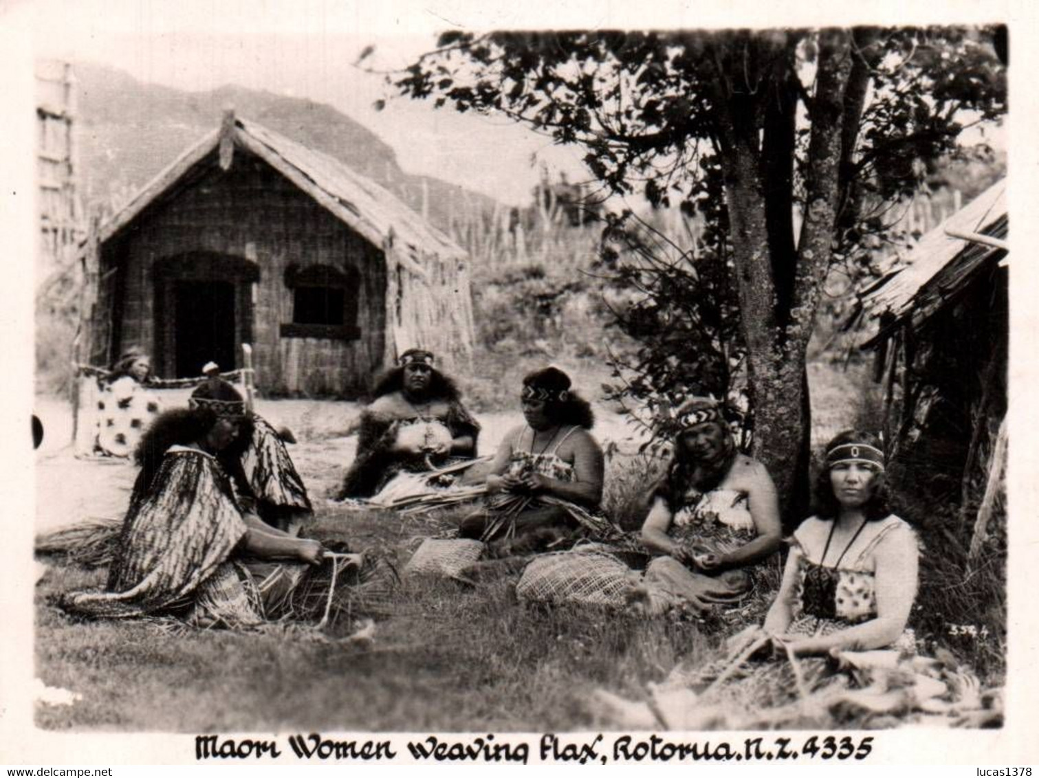 PHOTO / 9 X 6 CM / NOUVELLE ZELANDE MAORI WOMEN WEAVING FLAX ROTORUA - New Zealand