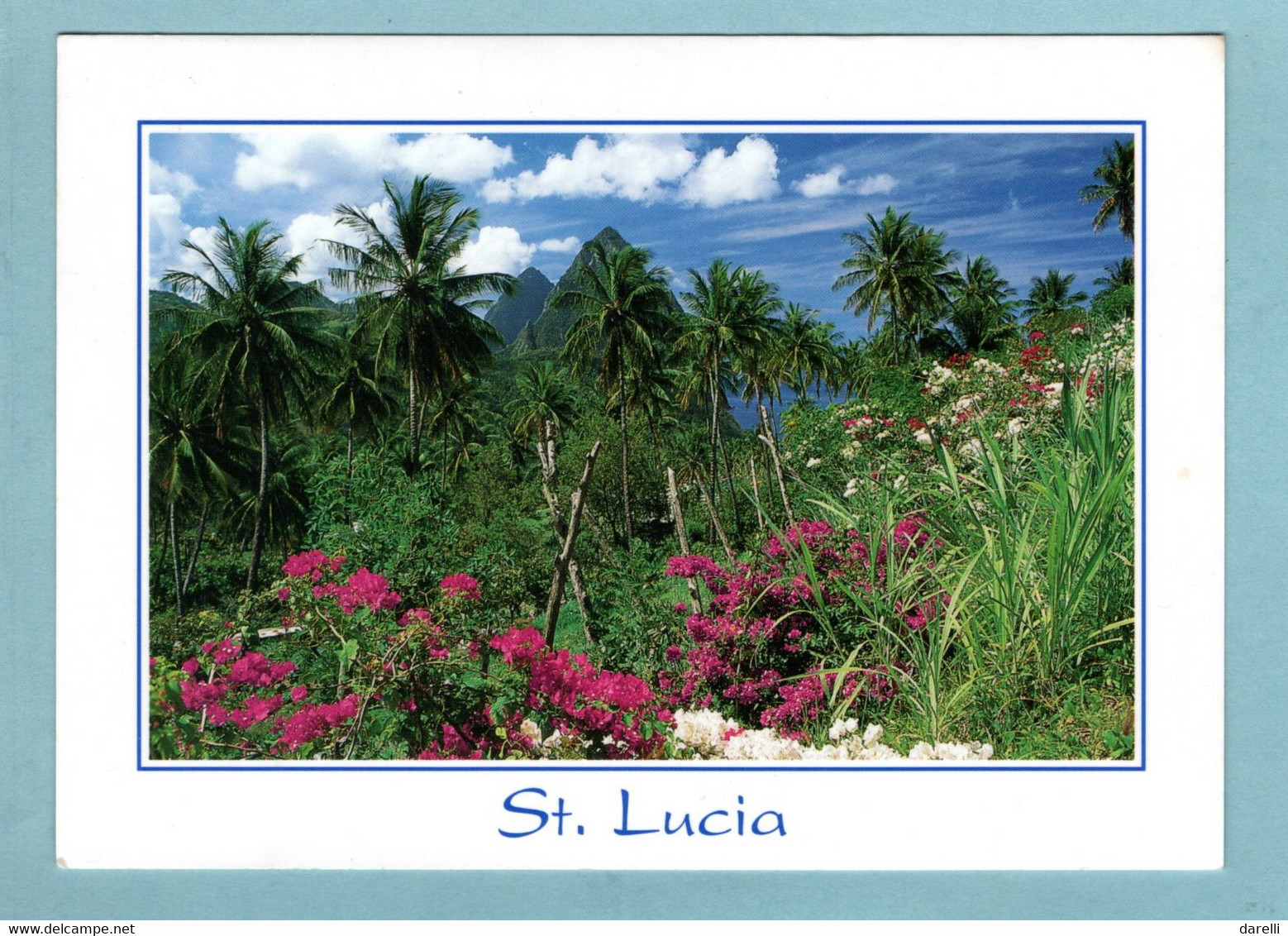 CP Antilles - Saint Lucia - The Pitons Through Coconut - Santa Lucía