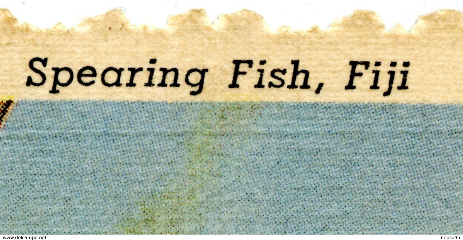 Fidji.harponnant Un Poisson.Océanie.spearing Fish.Fiji. - Fidji