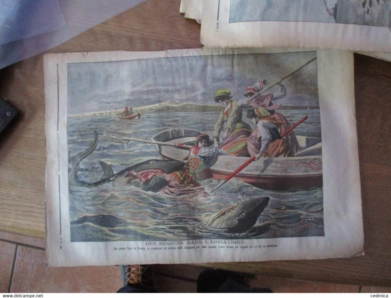 LE PETIT JOURNAL 9 AOUT 1908 UN ETRANGE ACCIDENT DE CHEMIN DE FER AU SIAM,DES REQUINS DANS L'ADRIATIQUE - Le Petit Journal