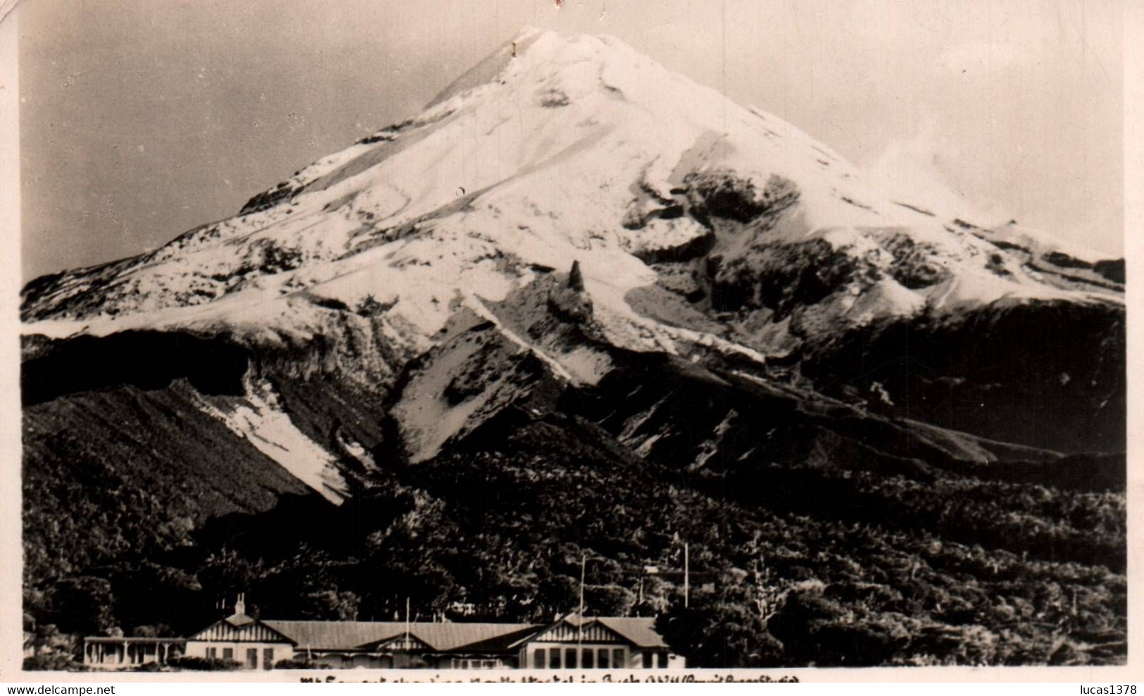 PHOTO CARD /  MT EGMONT SHOWING NORTH HOSTEL IN BUSH - Nouvelle-Zélande