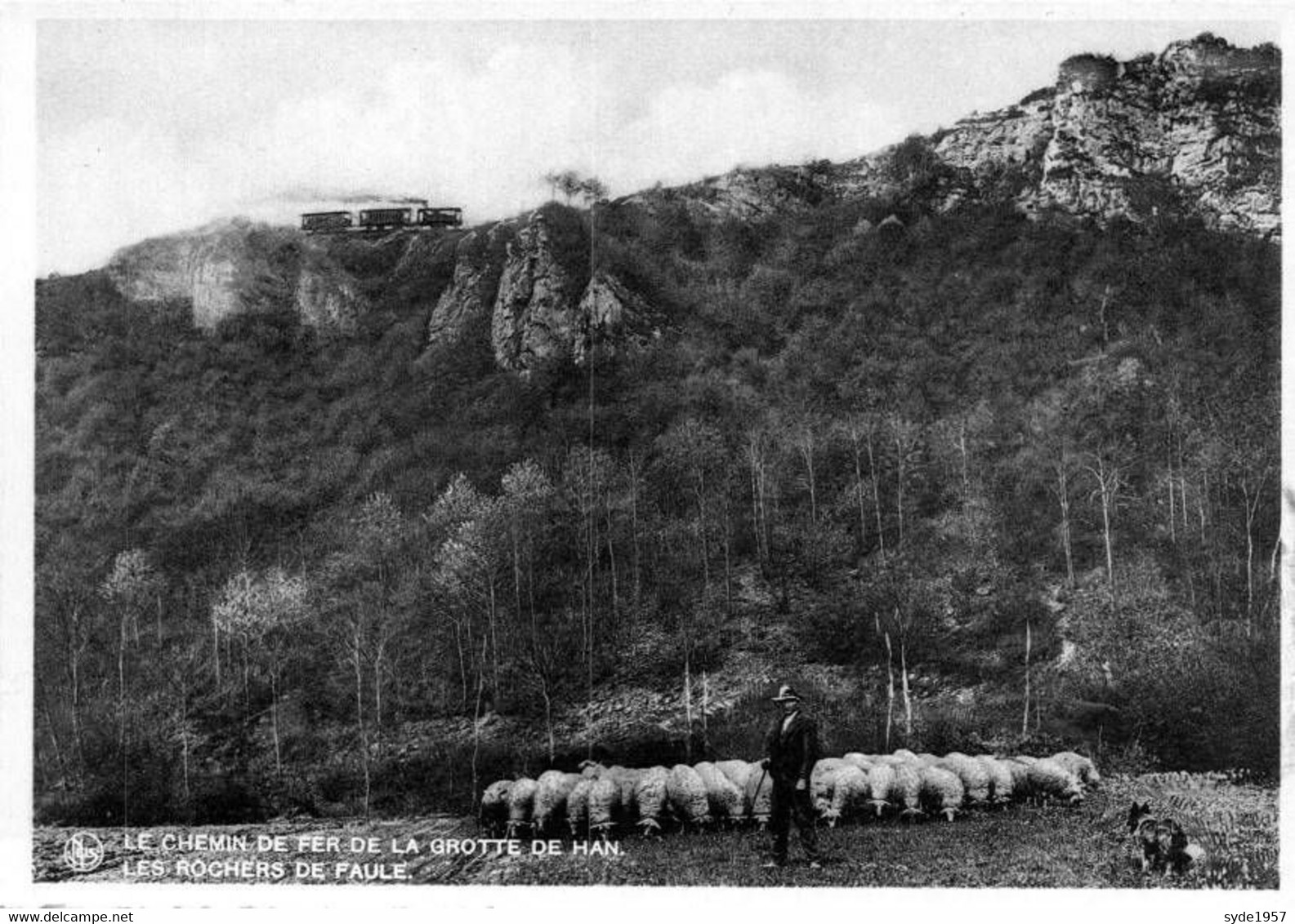 Le Chemin De Fer De La  Grotte De Han , Les Rochers De Faule ..... Moutons, Berger, Train - Rochefort