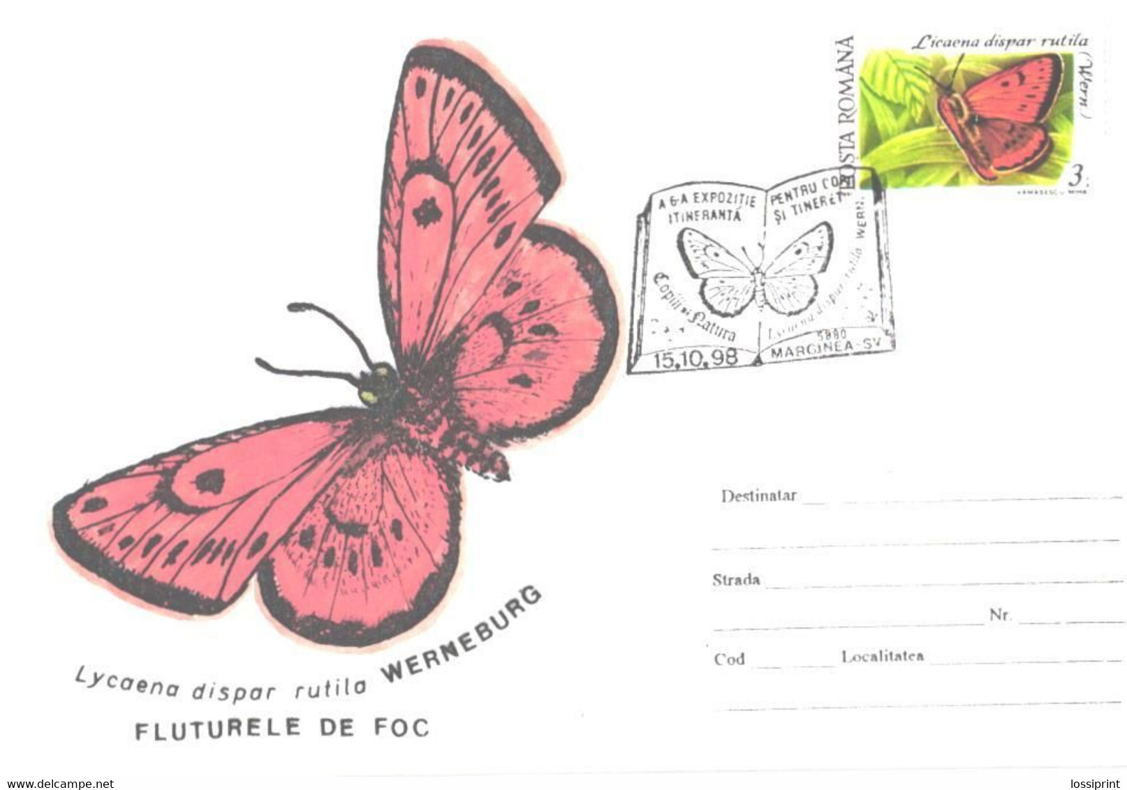 Romania:Butterfly, Lycaena Dispar Rutila, Special Cancellation, 1998 - Covers & Documents