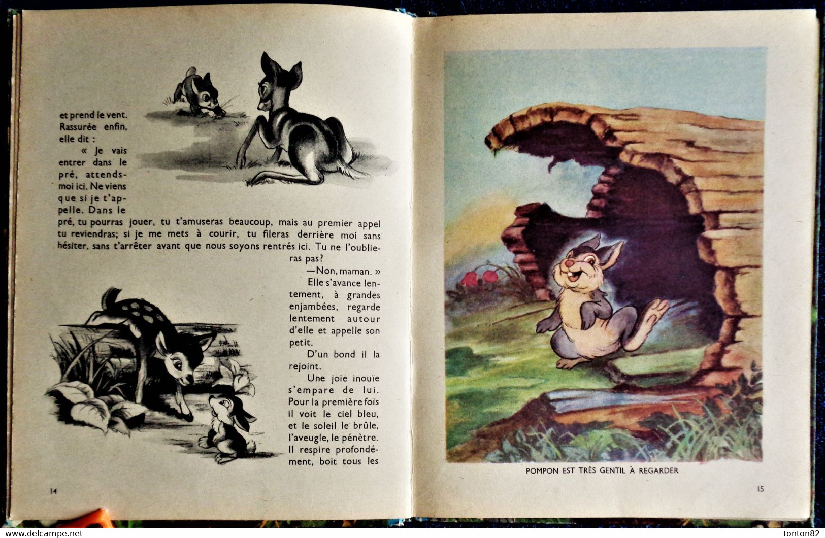 Walt Disney - BAMBI d'après Félix Salten  - HACHETTE - ( 1948 )- ( Très belles illustrations ) .