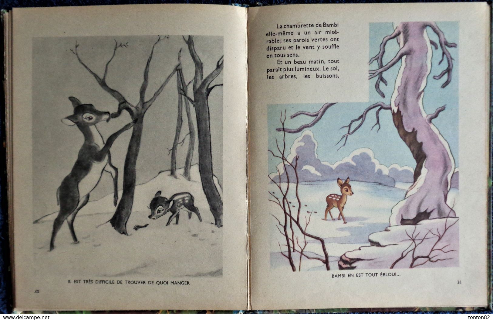 Walt Disney - BAMBI d'après Félix Salten  - HACHETTE - ( 1948 )- ( Très belles illustrations ) .