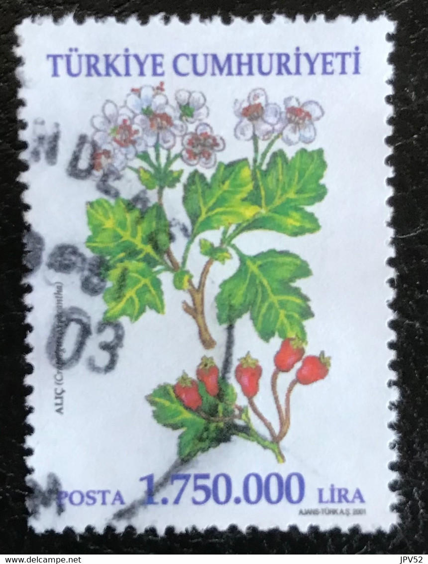 Türkiye Cumhuriyeti - Turkije - C11/20 - (°)used - 2001 - Michel 3276 - Heilzame Planten - Usati