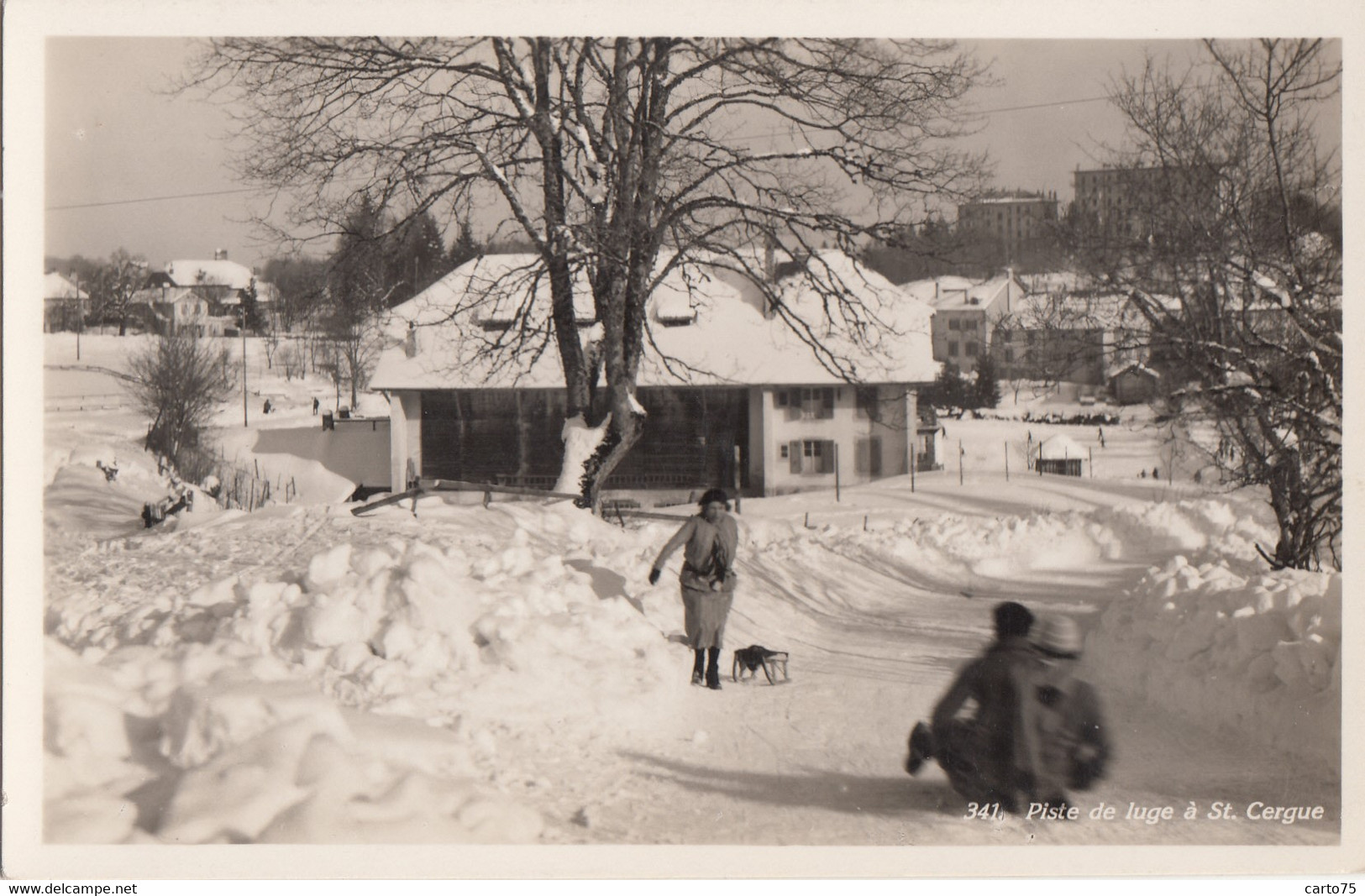 Suisse - Saint-Cergue - Piste De Luge - Neige - Saint-Cergue