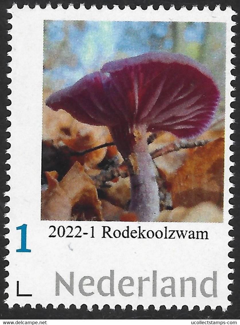 Nederland  2021-1 Paddestoel - Mushrooms  Rodekoolzwam  Laccaria Amesthystea     Postfris/mnh/neuf - Ungebraucht