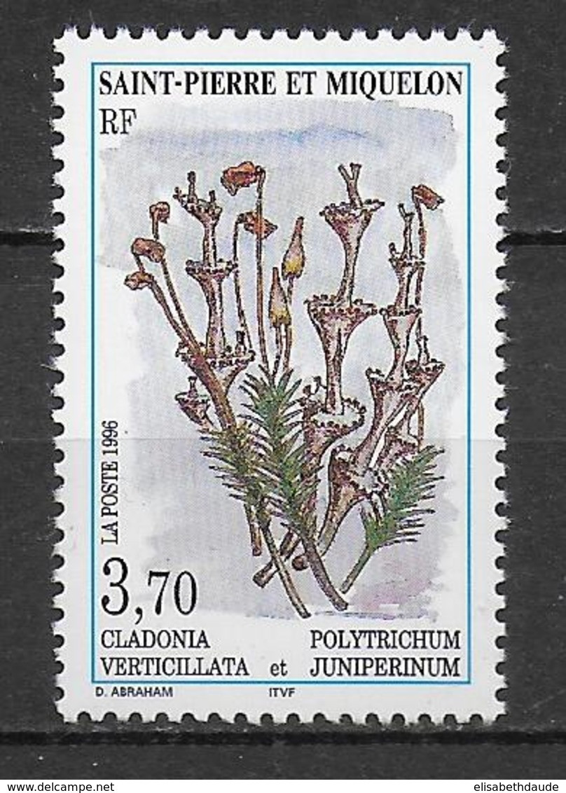 SPM - 1996 - LIVRAISON GRATUITE A PARTIR DE 5 EUR D'ACHAT - YVERT N°626 **  MNH - FLORE - Unused Stamps