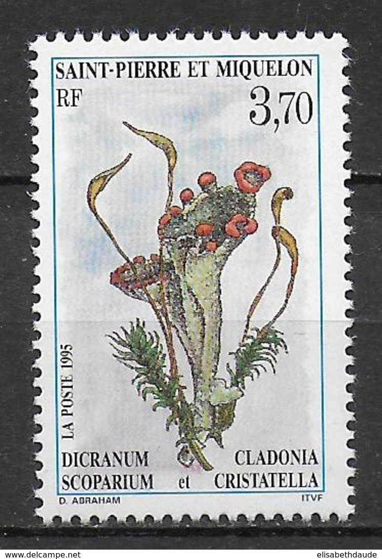 SPM - 1995 - LIVRAISON GRATUITE A PARTIR DE 5 EUR D'ACHAT - YVERT N°611 **  MNH - FLORE - Unused Stamps