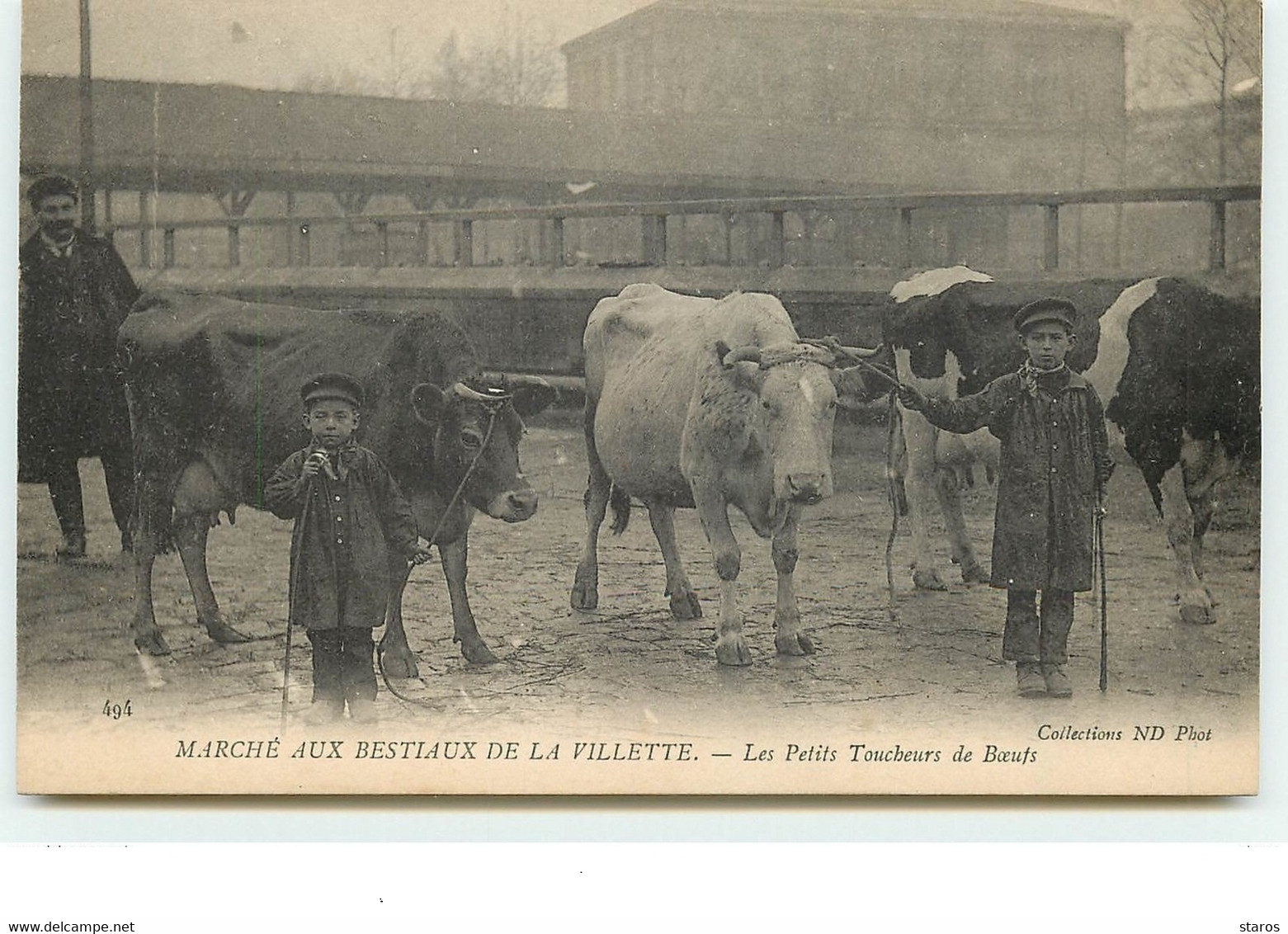 PARIS XIX - Marché Aux Bestiaux De La Villette - Les Petits Toucheurs De Boeufs - Arrondissement: 19