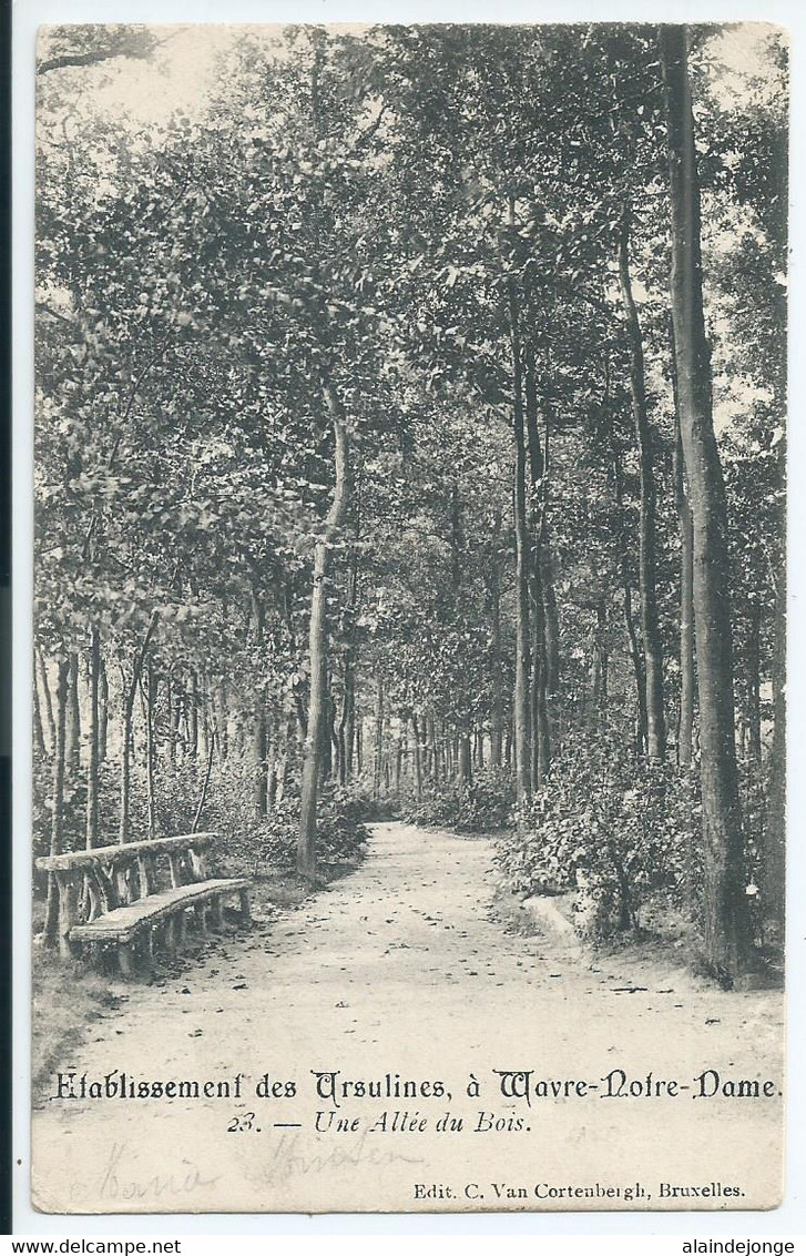 Wavre-Notre-Dame - Onze-Lieve-Vrouw-Waver - Institut Des Ursulines - Une Allée Du Bois - Sint-Katelijne-Waver