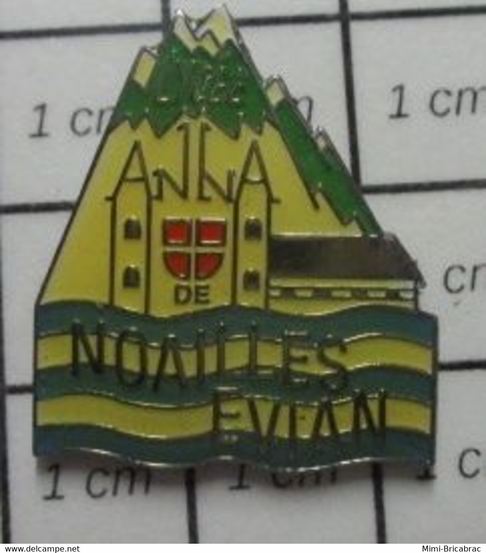 512g2 Pin's Pins / Beau Et Rare / THEME : ADMINISTRATIONS / LYCEE ANNA DE NOAILLES EVIAN - Administrations