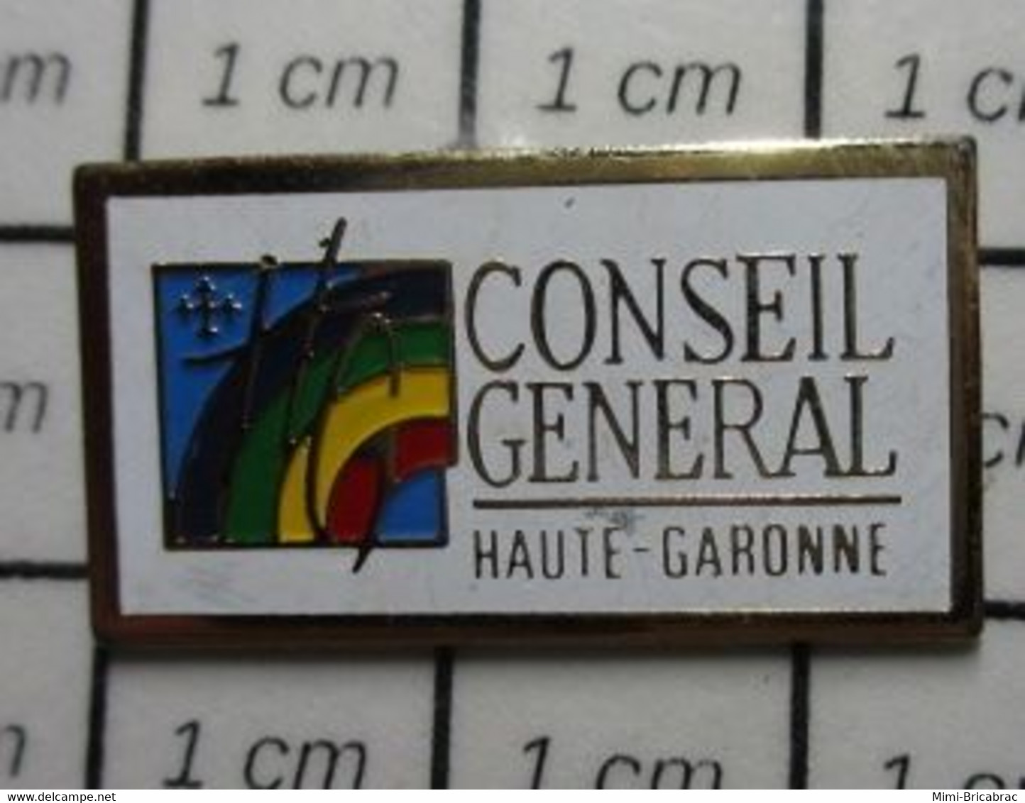 713e Pin's Pins / Beau Et Rare / THEME : ADMINISTRATIONS / CONSEIL GENERAL HAUTE-GARONNE - Administrations