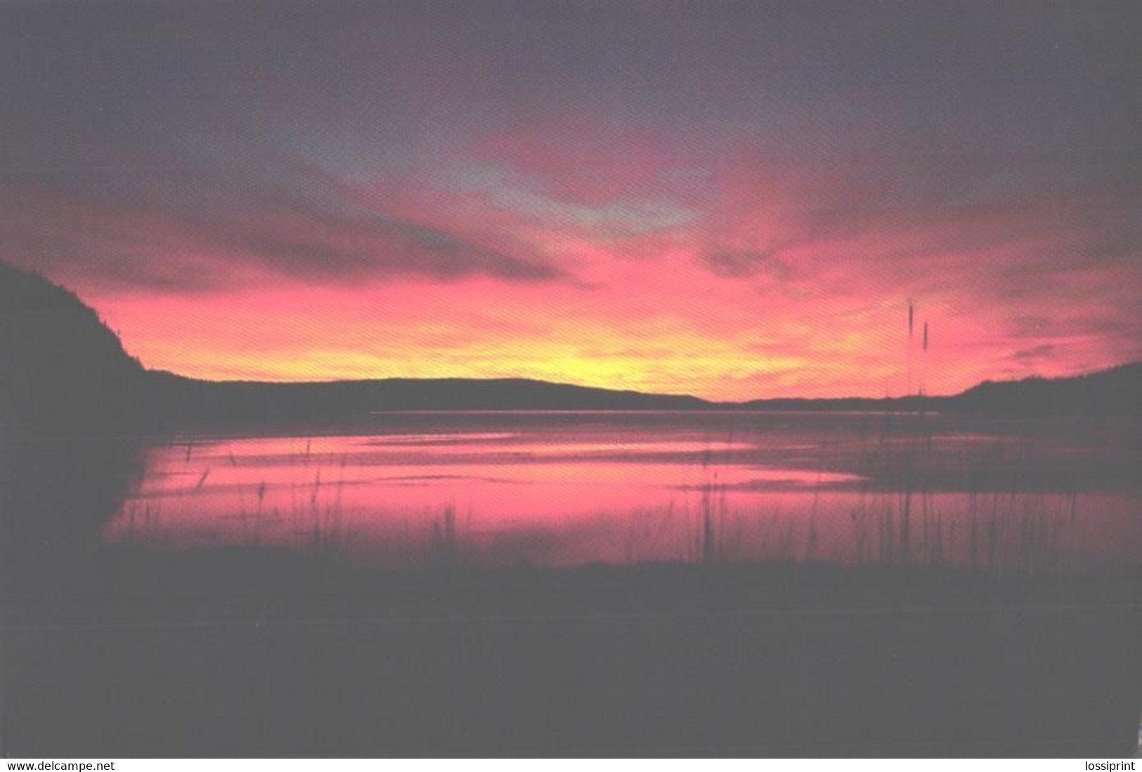 Canada:Newfoundland, Sunrise At Ivany's Cove - Sonstige & Ohne Zuordnung