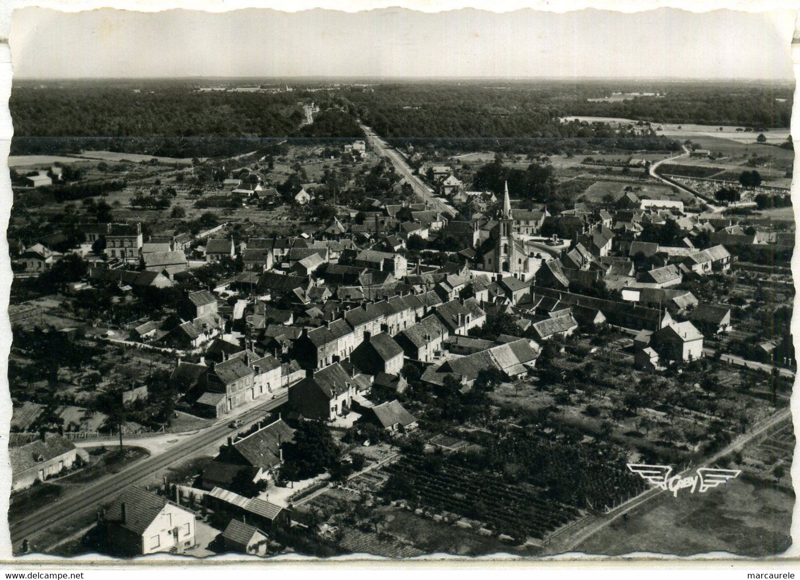 Cpsm  Ouzouer Sur Loire (45)  Vue Générale Du Village - Ouzouer Sur Loire