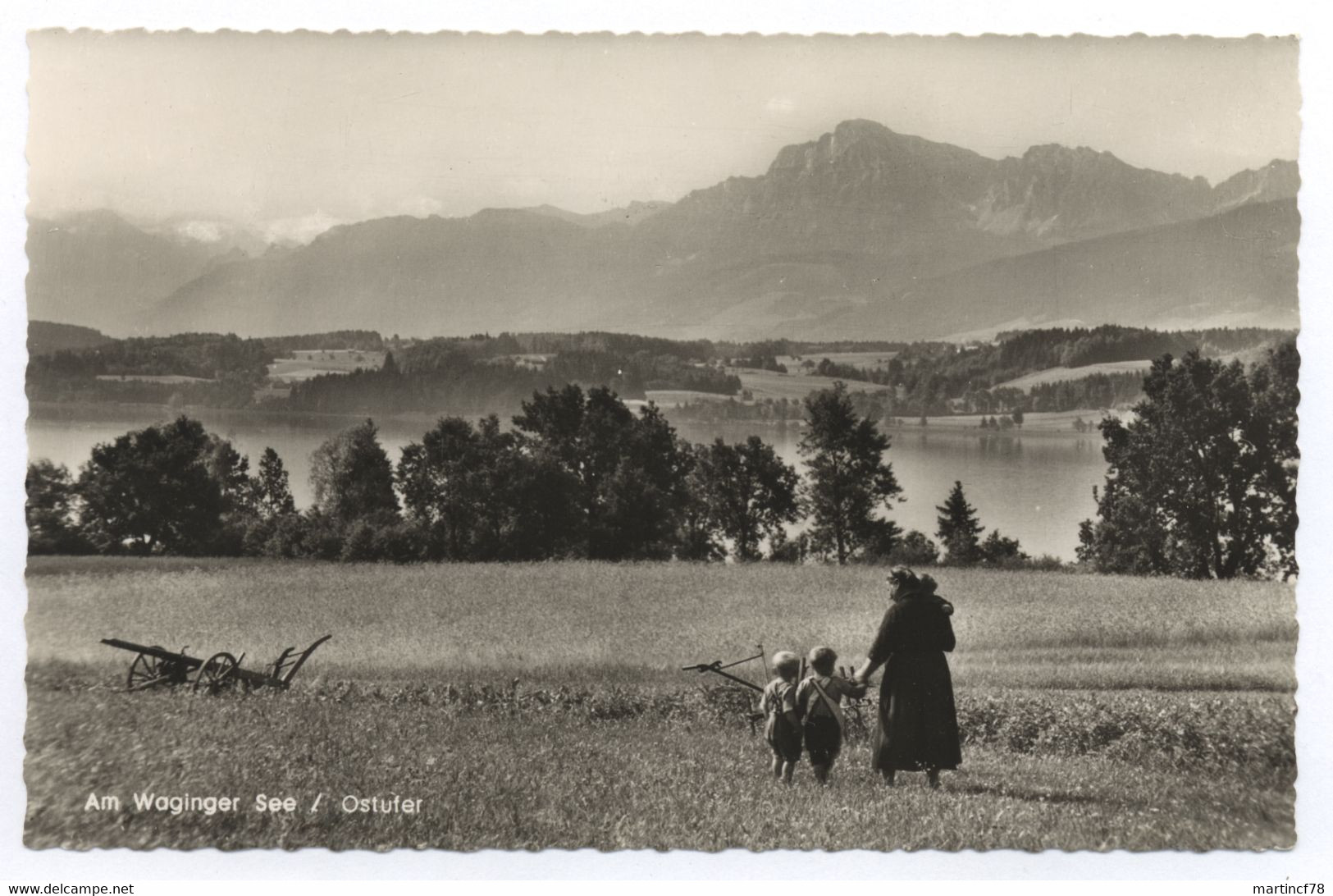 Am Waginger See Ostufer - Waging