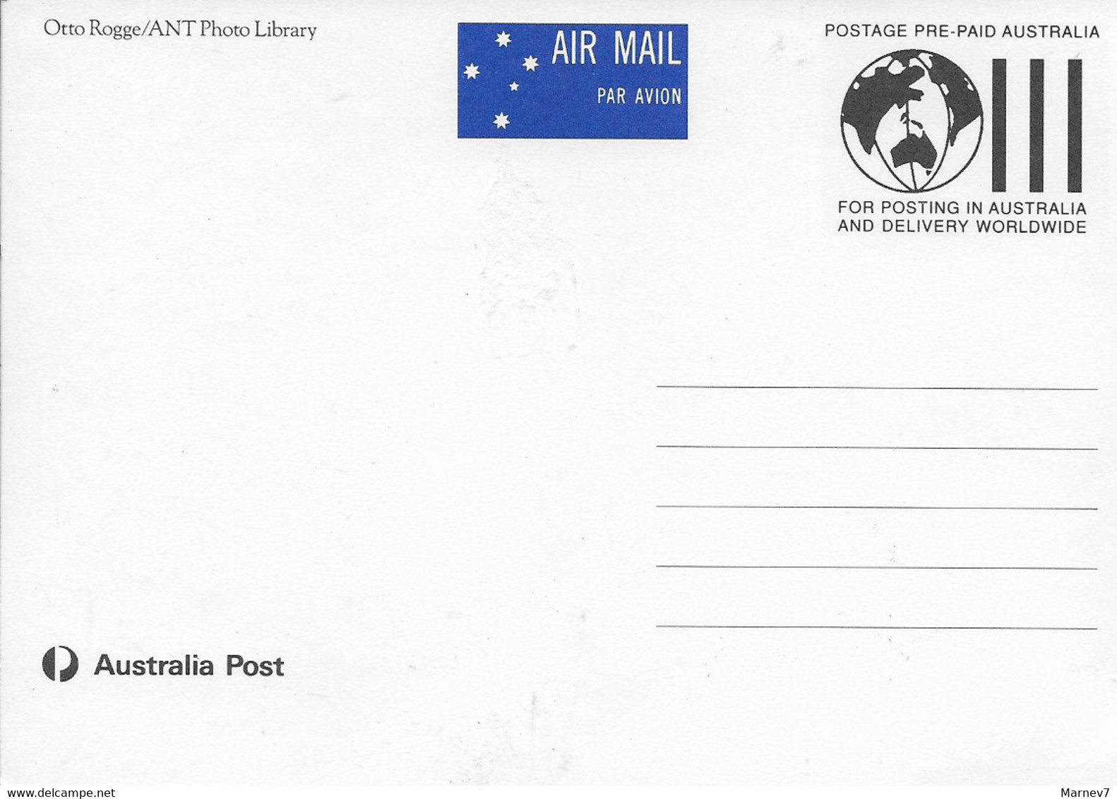 Le Chat - Yvert 1215 Australie Sur Carte Postale Otto Rogge - Cad 1er Jour 25 Juillet 1991 Cockatoo VIC 3781 - CHATONS - Lettres & Documents