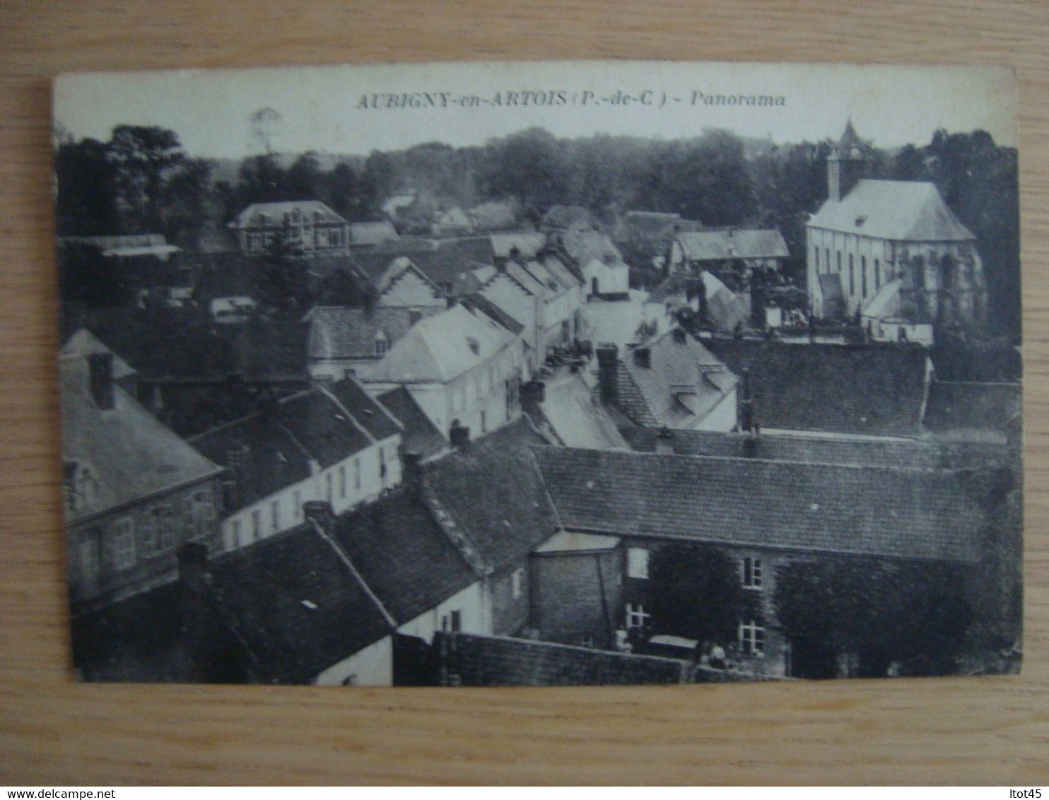 CPA AUBIGNY-EN-ARTOIS 62 PANORAMA - Aubigny En Artois