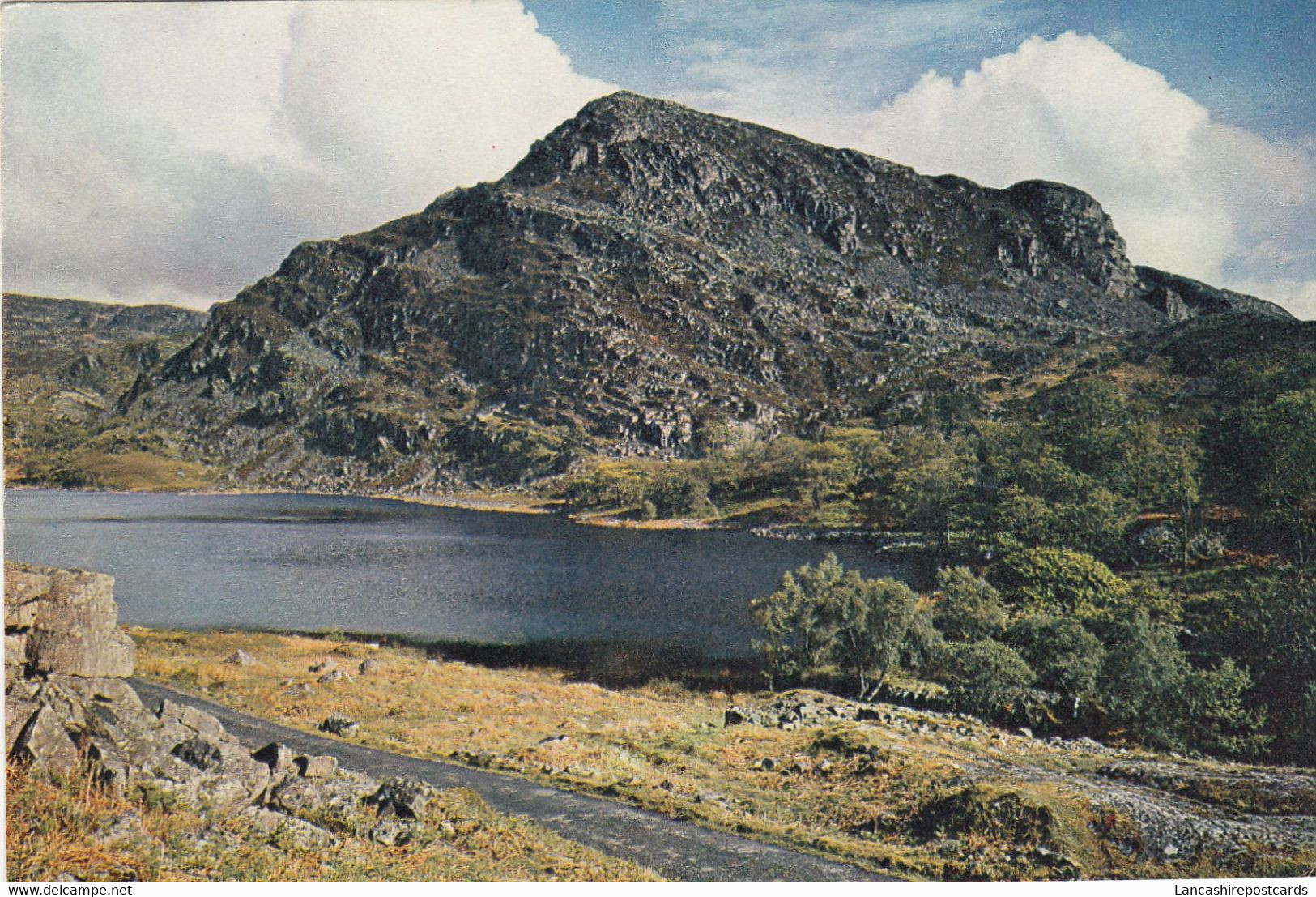 Postcard Llyn Cwm Bychan Near Llanbedr Merionethshire [ Dixon ] My Ref B25558 - Merionethshire