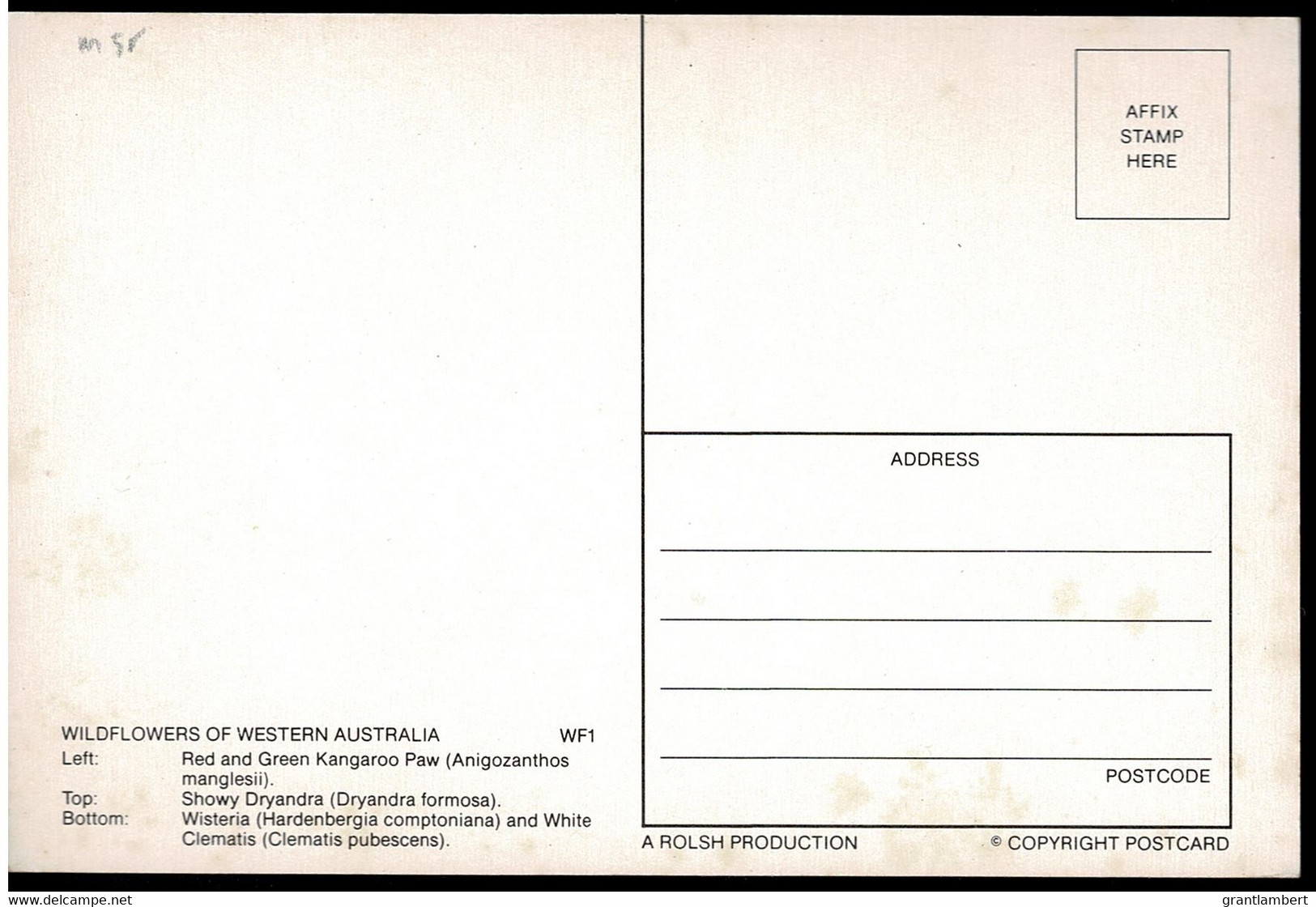 Wildflowers Of Western Australia - Unused - Altri & Non Classificati