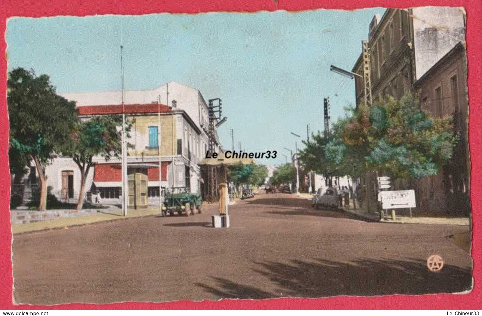 ALGERIE---SAIDA---L'Avenue Foch---cpsm Pf----colorisée - Saïda