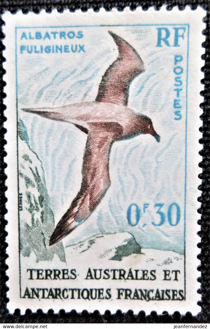 Timbres Des Terres Australes Et Antarctiques Françaises 1959 Bird Y&T N°  12 - Oblitérés