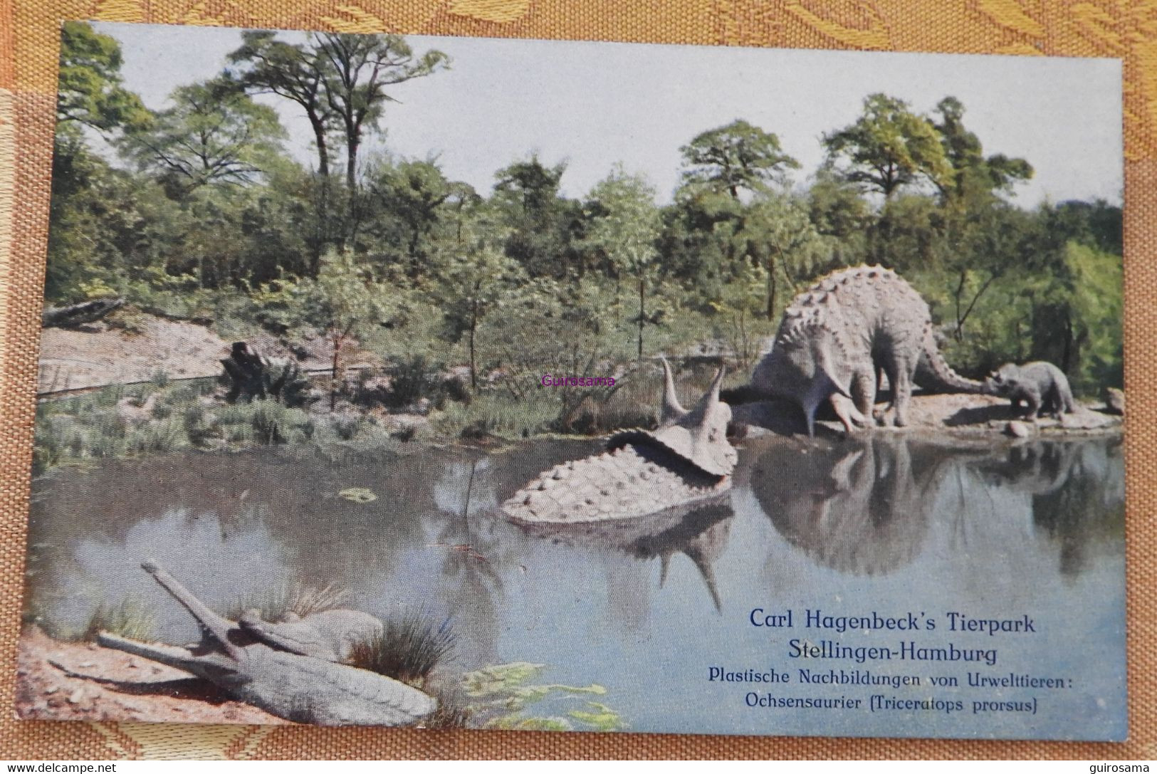 Lot De 3 Cartes Du Carl Hagenbeck's Tierpark : Dinosaures (iguanodon, Triceratops Et Diplodocus) : 115, 116, 402 - Stellingen