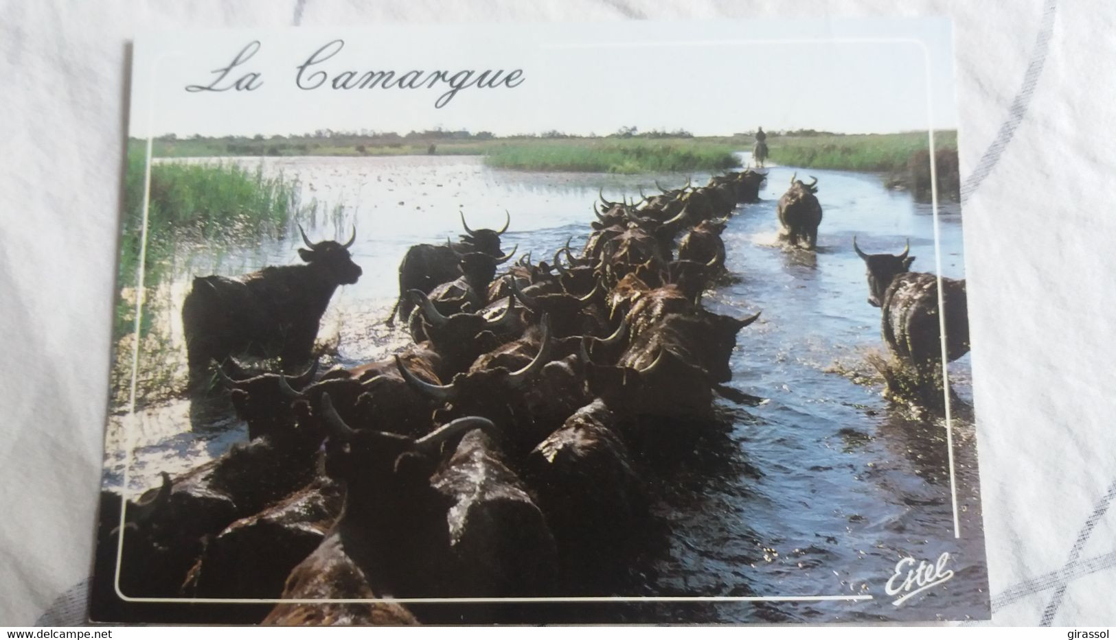 CPM LA CAMARGUE TROUPEAU MANADE ? DE TAUREAUX ED ESTEL  GARDIAN A CHEVAL - Taureaux