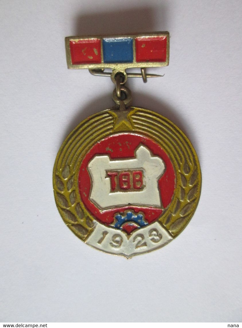 Medaille/Ordre Mongolie Collection Des Annees 70/Medal/Order Mongolia Collection From The 70s - Altri & Non Classificati