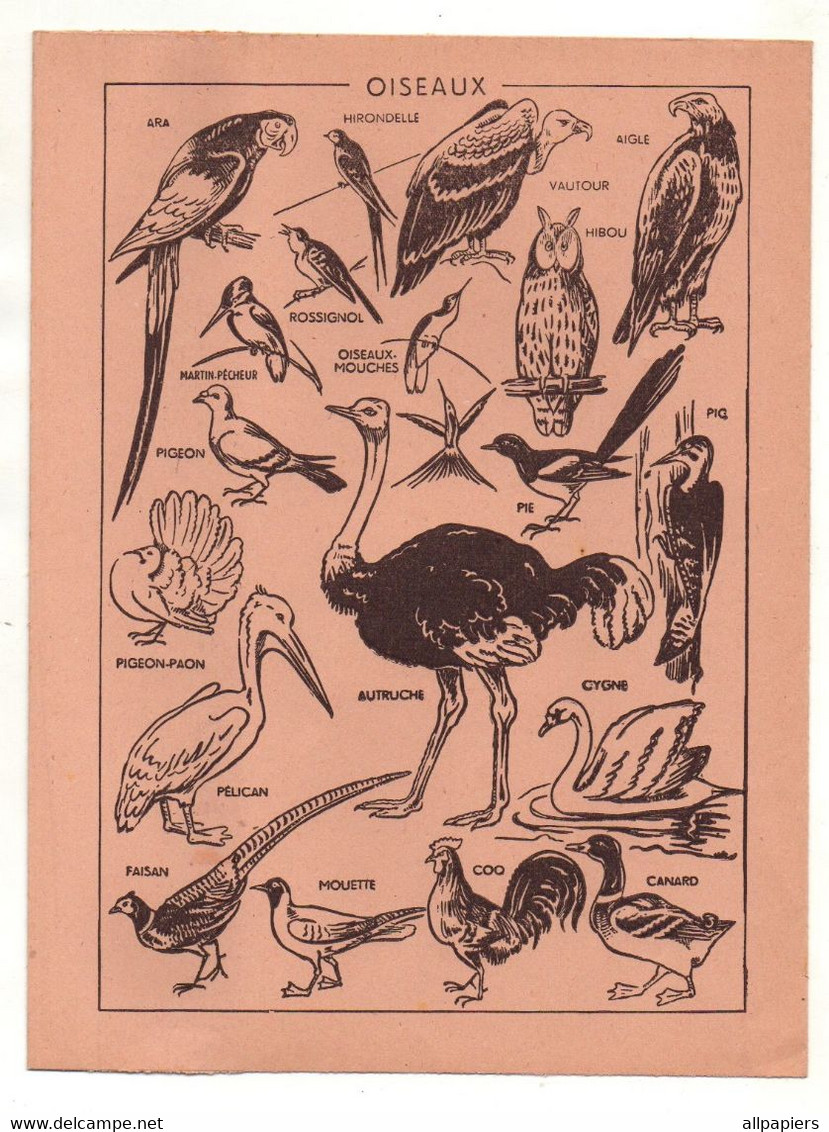 Protège-cahiers Semelles, Talons, Chaussures Morvan Avec Oiseaux Au Verso - Format : 24x18 cm - Protège-cahiers