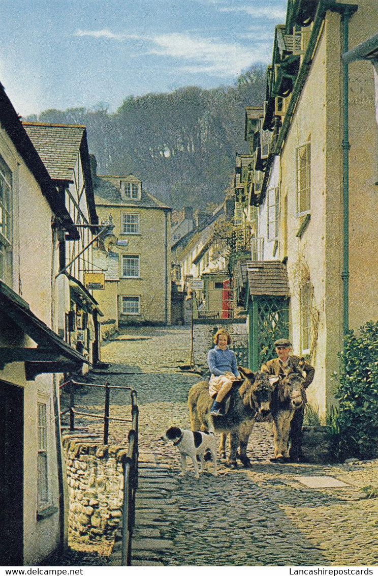 Postcard Clovelly Up A Long Devon [ Dixon ] My Ref B25560 - Clovelly