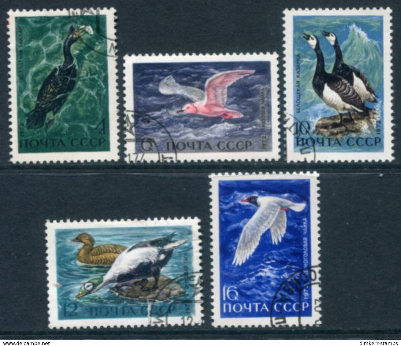 SOVIET UNION 1972 Sea Birds Used.  Michel 3974-78 - Gebraucht