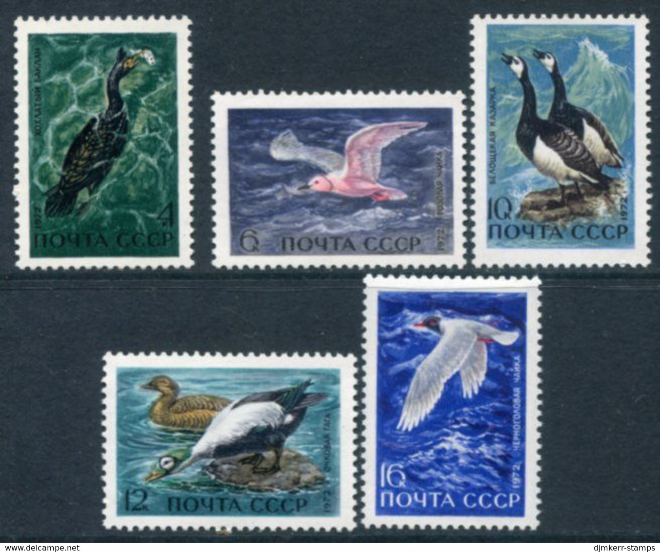 SOVIET UNION 1972 Sea Birds MNH / **.  Michel 3974-78 - Unused Stamps