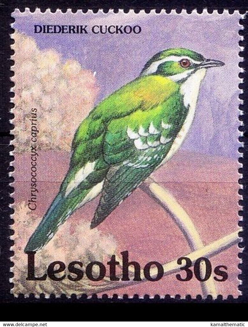 Diederik Cuckoo, Birds,  Lesotho 1992 MNH - Coucous, Touracos